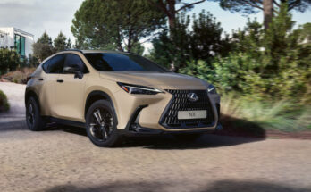 Lexus NX Overtrail: Die neue Ausstattung für „draußen“